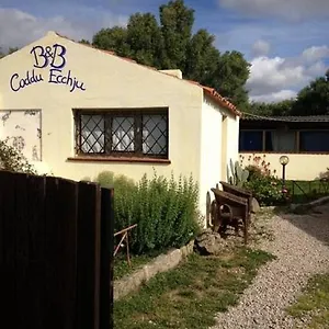 Bed & Breakfast Codduecchju, Arzachena